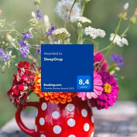 Sleeporup Rum i privatbostad Faxe